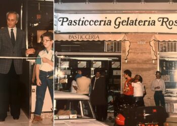 Pasticc