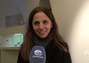 Tg Telebari Mattina 08 11 25