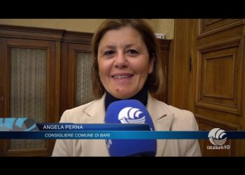 Tg Telebari Mattina 28 11 25