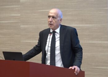 Umberto Fratino Politecnico