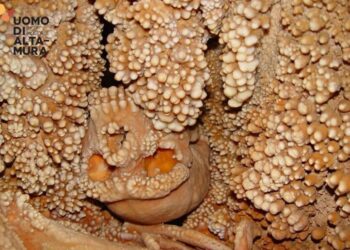 Uomo Altamura