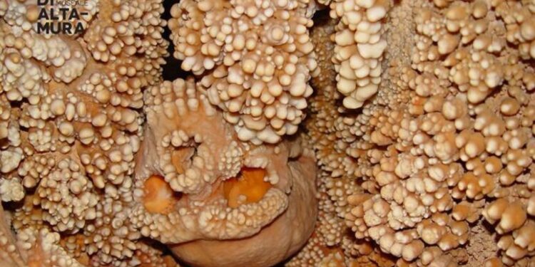 Uomo Altamura