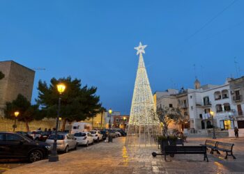 02 12 25 Albero Luminoso Vandalizzato Bari Vecchia 3