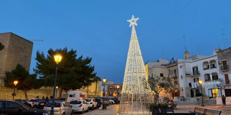 02 12 25 Albero Luminoso Vandalizzato Bari Vecchia 3