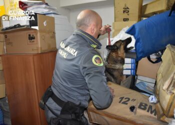 30122025 092159 30.12.2025 Stupefacenti(1)