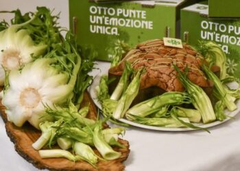 panettone cicoria
