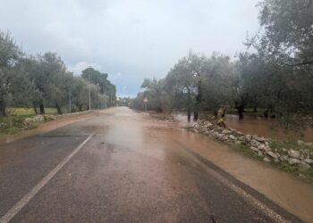 Maltempo Bitonto