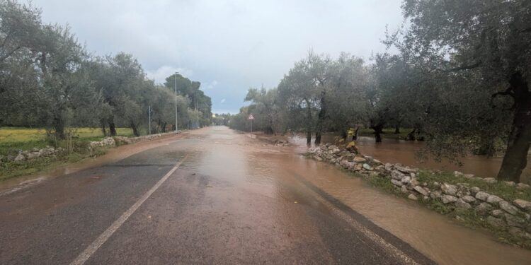 Maltempo Bitonto