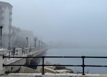 nebbia bari