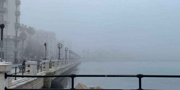 nebbia bari