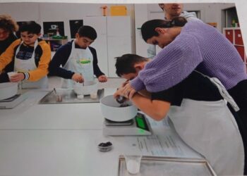 Cucina Disabili