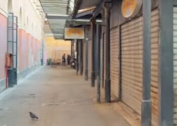 Mercato Ex Manifattura Tabacchi