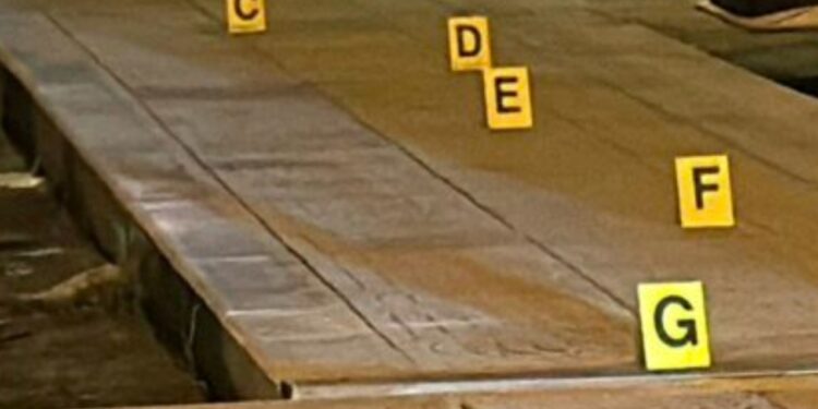 Polizia Scientifica Accoltellamento