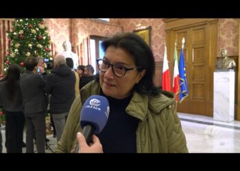 Tg Telebari Sera 23 12 25