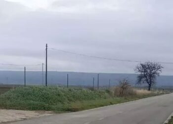 Cattura