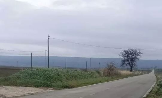 Cattura