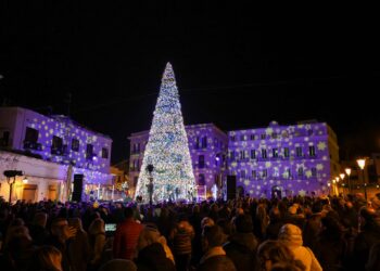albero natale bari