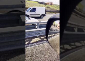 Auto Contromano Sulla Statale 96, Camionista Blocca Il Traffico: “così Ho Evitato La Tragedia” – Video