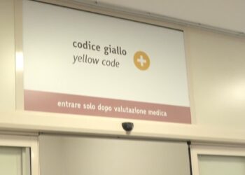 Codice Giallo Influenza