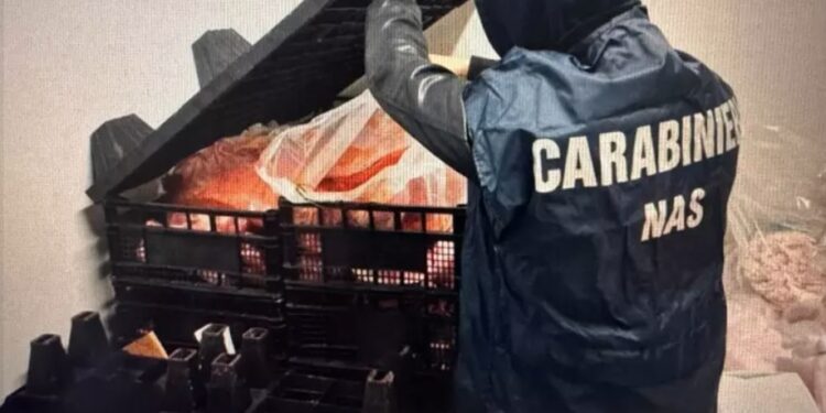 Nas Carabinieri