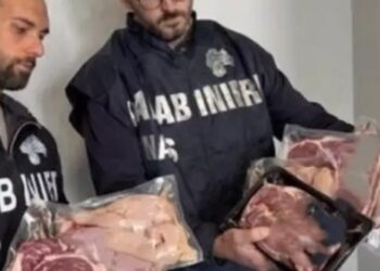 Nas Carne