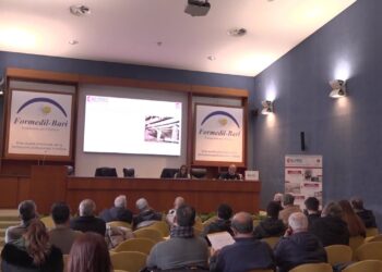 Tecnologie Innovative E Sicurezza Delle Costruzioni, A Bari Il Convegno Di Formedil: “affrontare Nuove Sfide” – Video