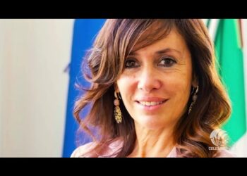 Tg Telebari Mattina 12 01 26