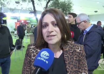 Tg Telebari Mattina 29 01 26
