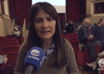 Tg Telebari Sera 11 01 26
