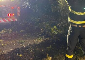 Vigili Del Fuoco Notte Albero Caduto 447376