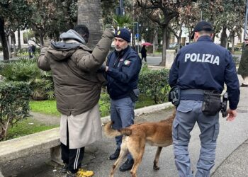 Foto Ps Piazza