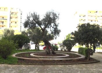 Aiuole San Paolo