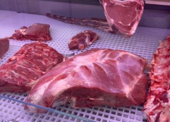 Carne Cavallo