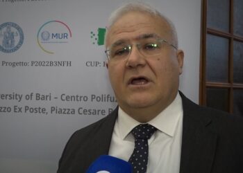 Crocetta