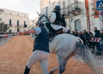 Palio Del Viccio 2