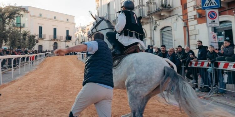 Palio Del Viccio 2