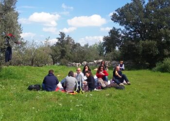 Picnic