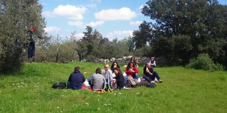 Picnic