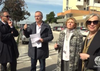 Tg Telebari Mattina 24 02 26
