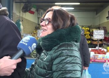 Tg Telebari Sera 11 02 26