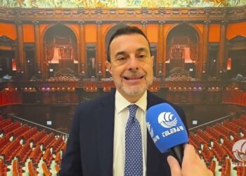 Tg Telebari Sera 12 02 26