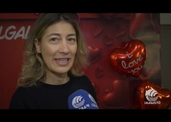 Tg Telebari Sera 14 02 26