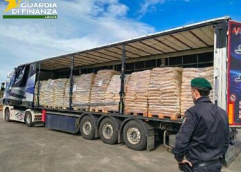 07032026 093235 Foto Pellet (1)