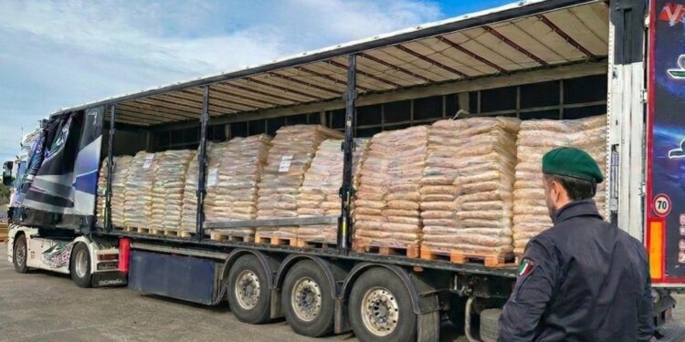 07032026 093235 Foto Pellet (1)