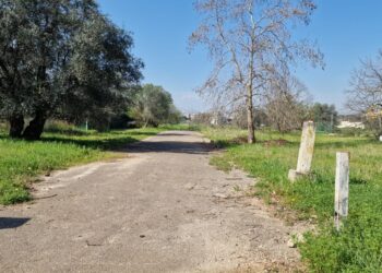 11 03 26 Ex Compendio Rai Di Ceglie Sopralluogo Della Vicesindaca Dopo L'avvio Dell'acquisizione L'area Diventerà Un Grande Parco Urbano Con Il Progetto Fiumi Verdi Foto 1