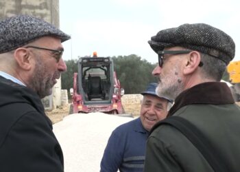 Box Extralarge E 3 Sale Interventi, Il Canile Sanitario A Triggiano Sarà La “risposta Al Randagismo” – Video