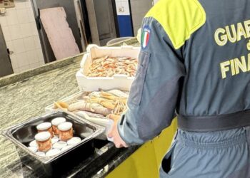Finanza Ricci