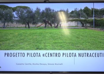 Nutraceutica