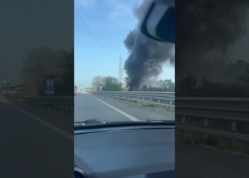 Statale 16, Fiamme E Fumo Nero A Pochi Metri Dall’uscita Carrassi Carbonara. “forse Copertoni” – Video