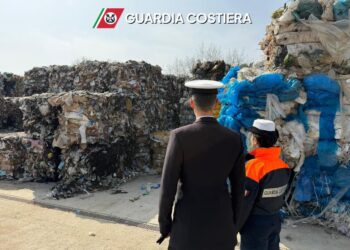 Traffico Rifiuti (3)